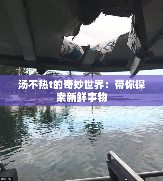 汤不热t的奇妙世界：带你探索新鲜事物
