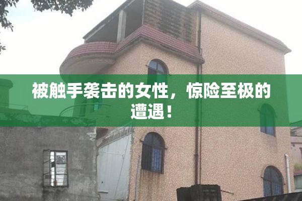 被触手袭击的女性，惊险至极的遭遇！