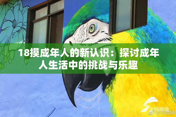 18摸成年人的新认识：探讨成年人生活中的挑战与乐趣