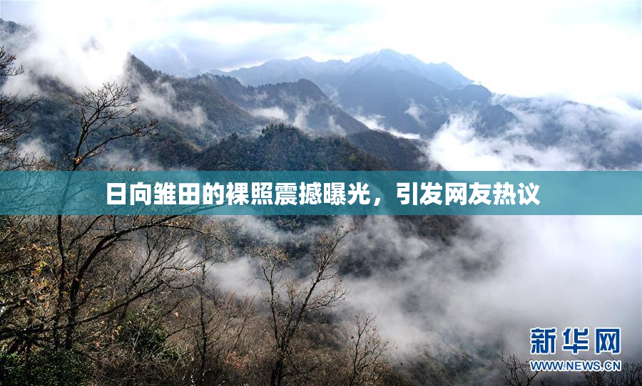 日向雏田的裸照震撼曝光，引发网友热议
