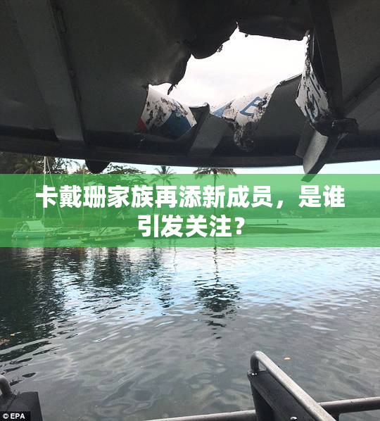 卡戴珊家族再添新成员，是谁引发关注？