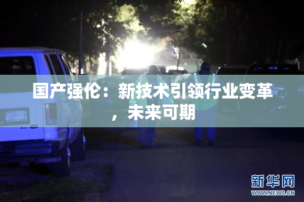 国产强伦：新技术引领行业变革，未来可期