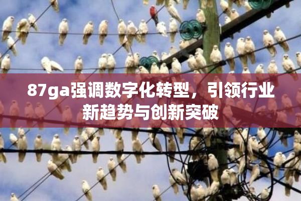 87ga强调数字化转型，引领行业新趋势与创新突破