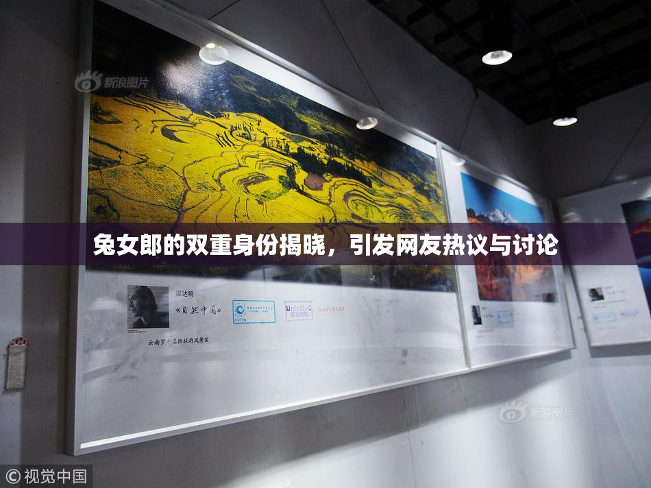 兔女郎的双重身份揭晓，引发网友热议与讨论