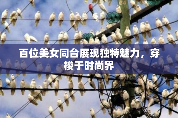 百位美女同台展现独特魅力，穿梭于时尚界