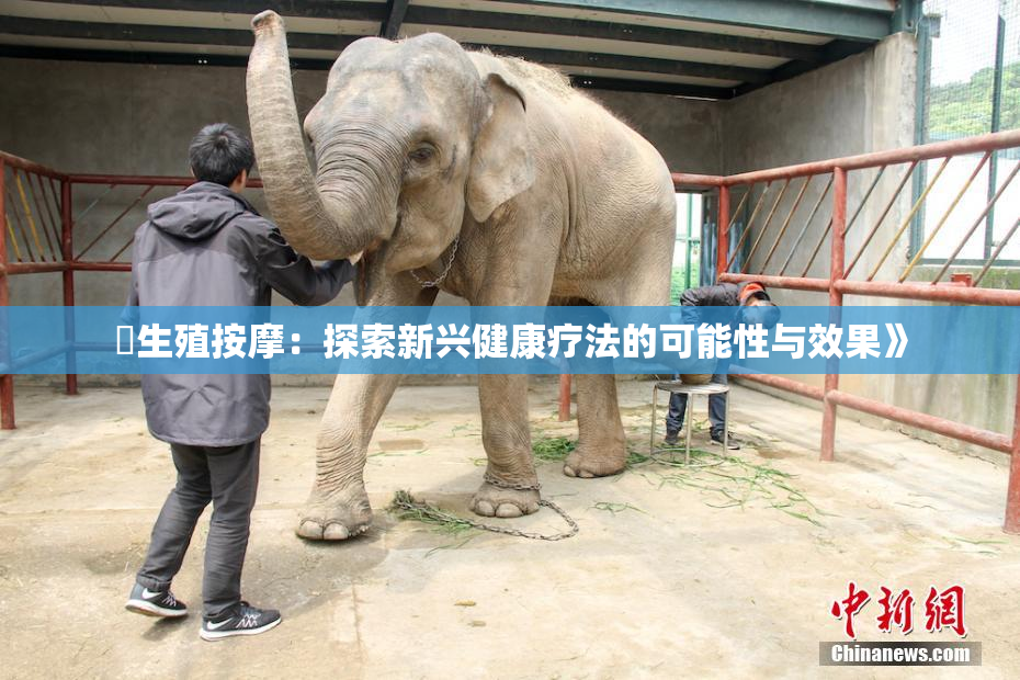 巜生殖按摩：探索新兴健康疗法的可能性与效果》