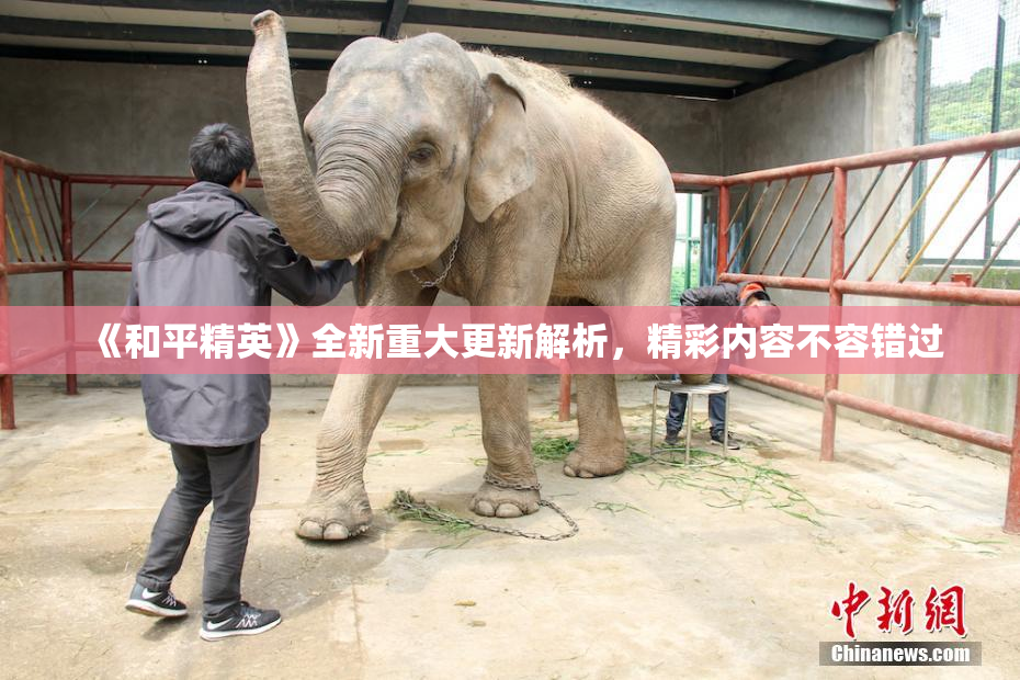 《和平精英》全新重大更新解析，精彩内容不容错过