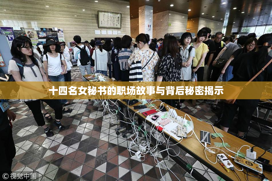 十四名女秘书的职场故事与背后秘密揭示