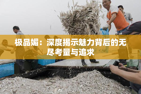 极品媚：深度揭示魅力背后的无尽考量与追求