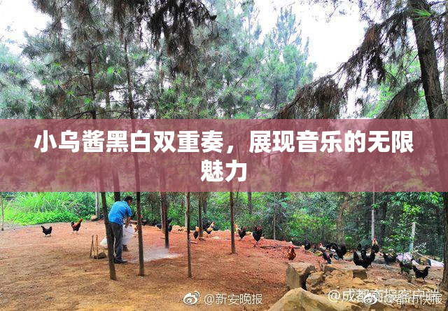 小乌酱黑白双重奏，展现音乐的无限魅力