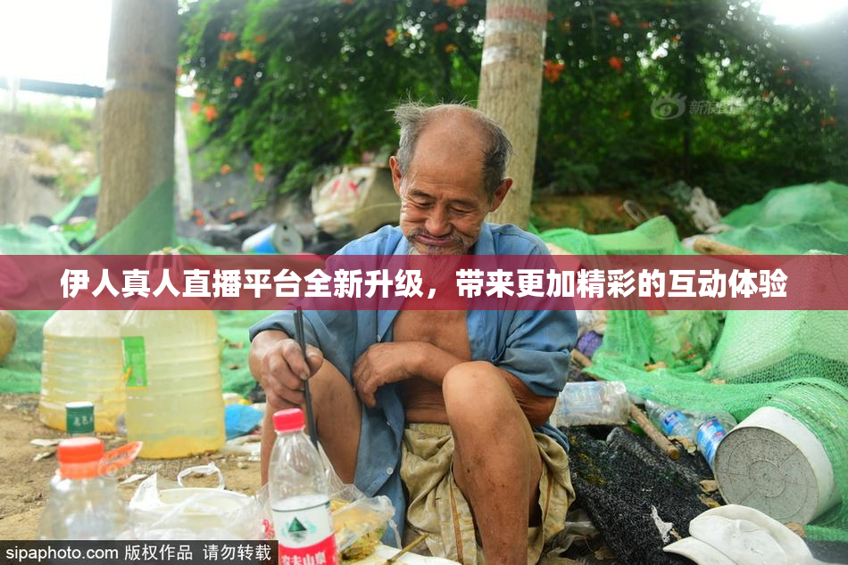 伊人真人直播平台全新升级，带来更加精彩的互动体验