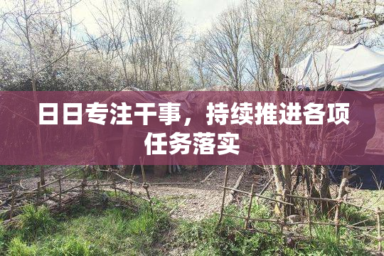 日日专注干事，持续推进各项任务落实
