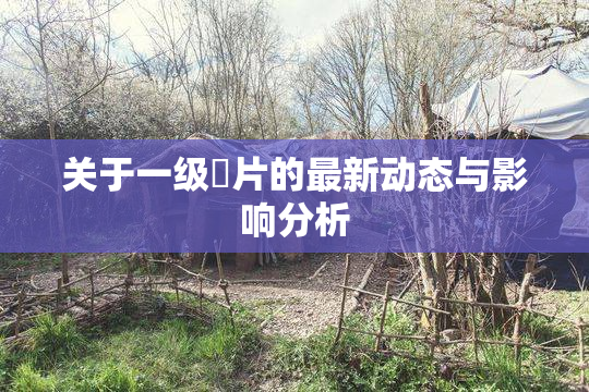 关于一级婬片的最新动态与影响分析