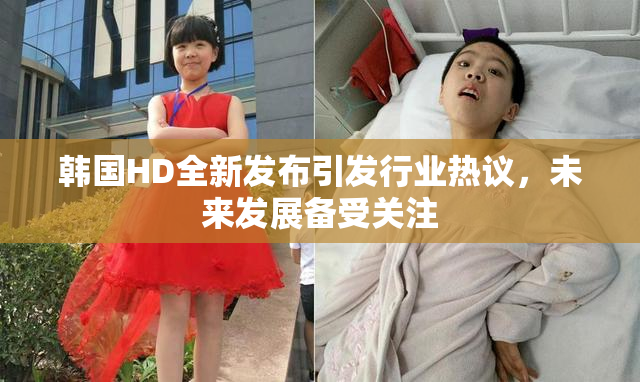 韩国HD全新发布引发行业热议，未来发展备受关注