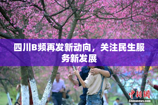 四川B频再发新动向，关注民生服务新发展