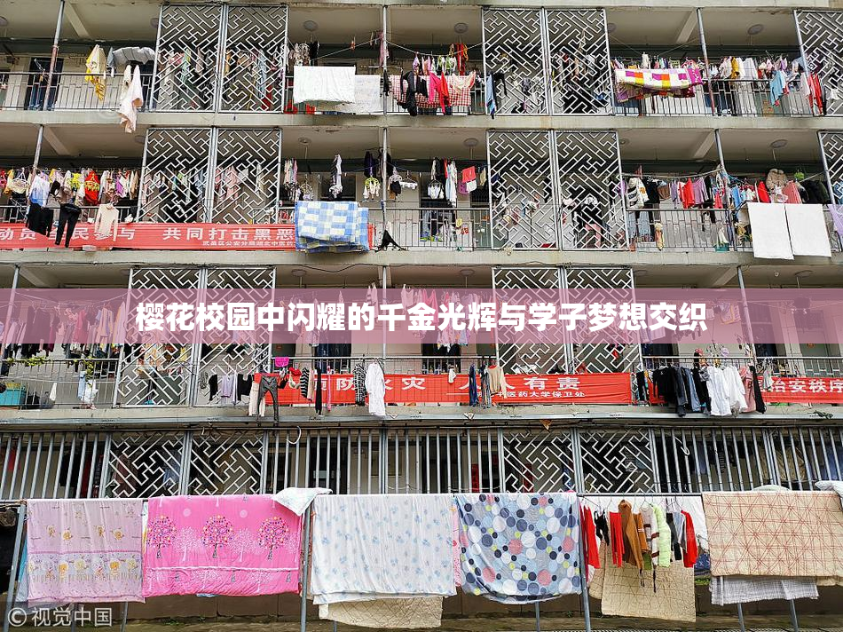 樱花校园中闪耀的千金光辉与学子梦想交织
