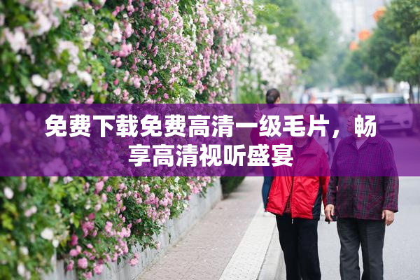 免费下载免费高清一级毛片，畅享高清视听盛宴