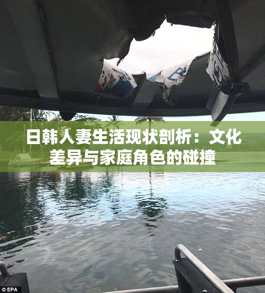 日韩人妻生活现状剖析：文化差异与家庭角色的碰撞