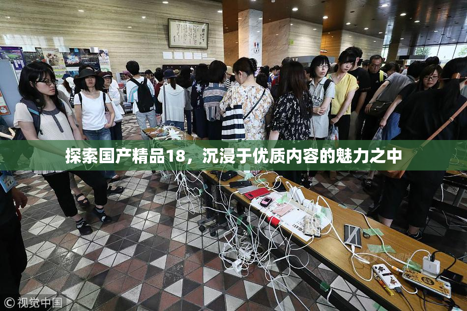 探索国产精品18，沉浸于优质内容的魅力之中