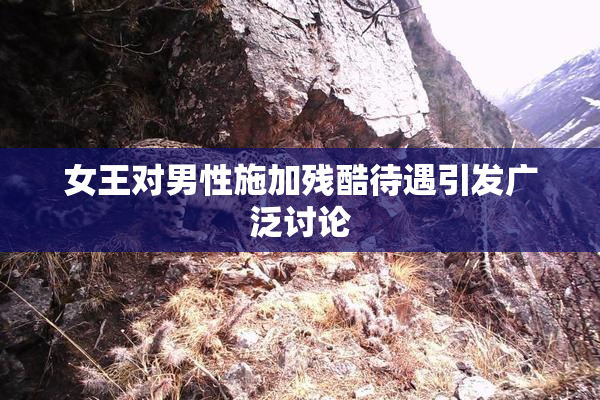 女王对男性施加残酷待遇引发广泛讨论