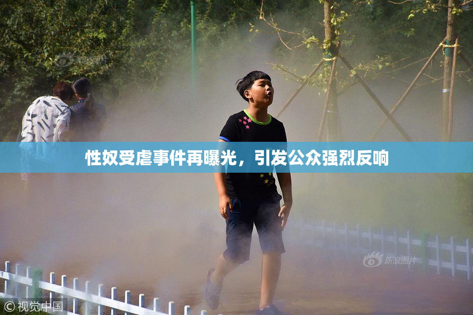 性奴受虐事件再曝光，引发公众强烈反响