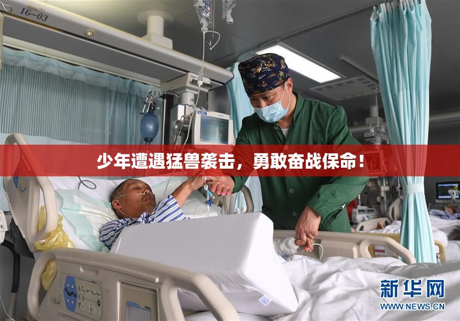 少年遭遇猛兽袭击，勇敢奋战保命！