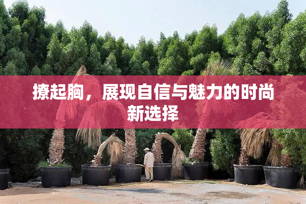 撩起胸，展现自信与魅力的时尚新选择