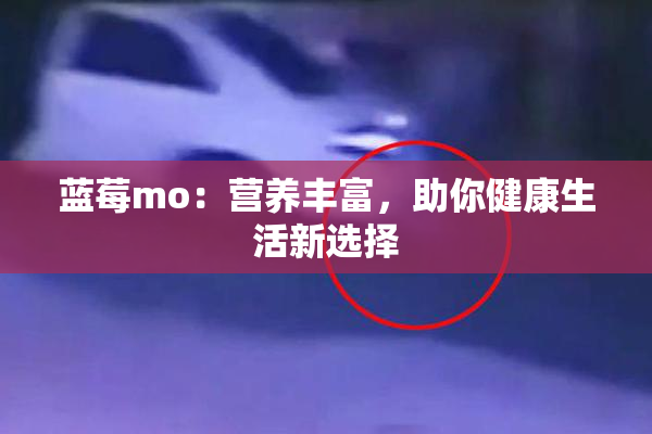 蓝莓mo：营养丰富，助你健康生活新选择