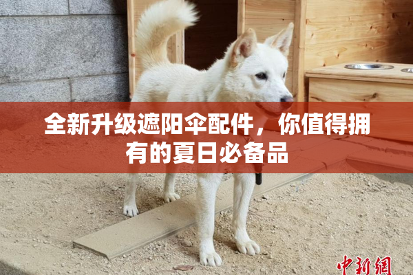 全新升级遮阳伞配件，你值得拥有的夏日必备品