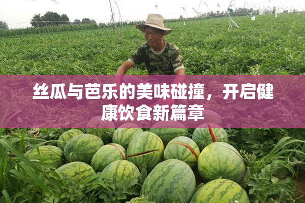 丝瓜与芭乐的美味碰撞，开启健康饮食新篇章