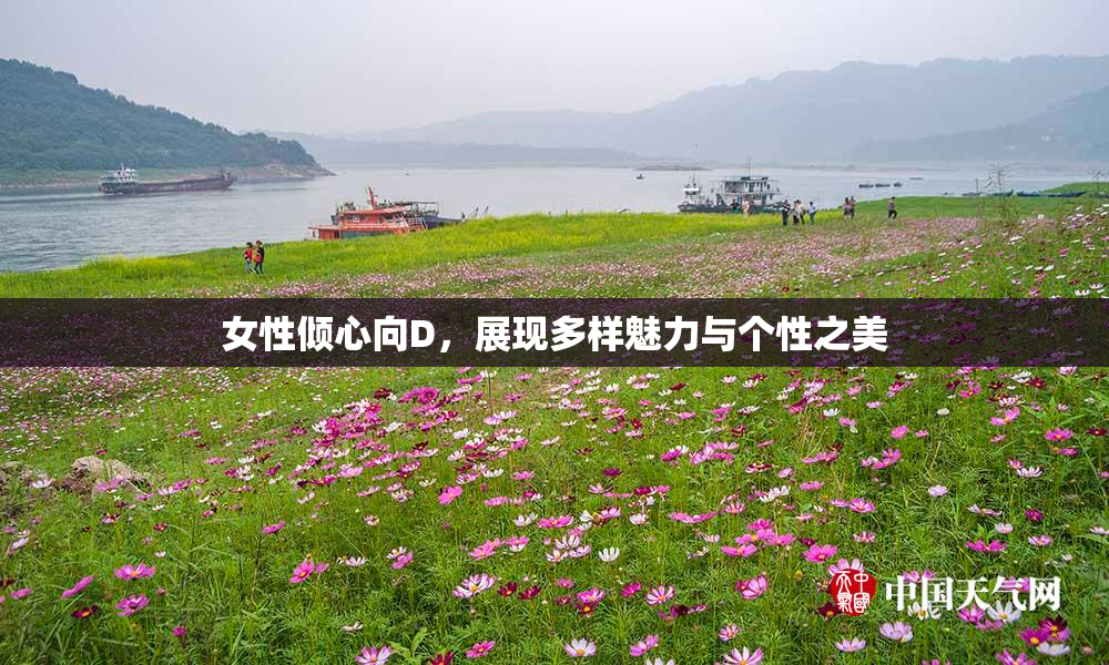 女性倾心向D，展现多样魅力与个性之美