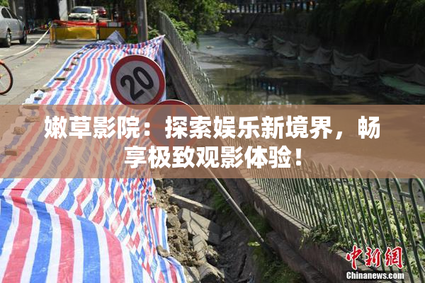嫩草影院：探索娱乐新境界，畅享极致观影体验！