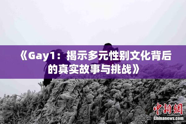 《Gay1：揭示多元性别文化背后的真实故事与挑战》