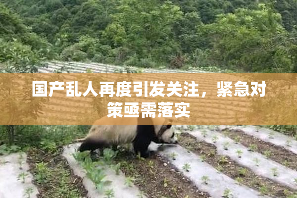 国产乱人再度引发关注，紧急对策亟需落实