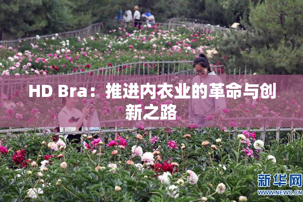 HD Bra：推进内衣业的革命与创新之路