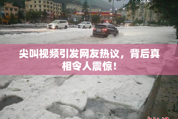 尖叫视频引发网友热议，背后真相令人震惊！