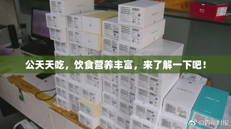 公天天吃，饮食营养丰富，来了解一下吧！