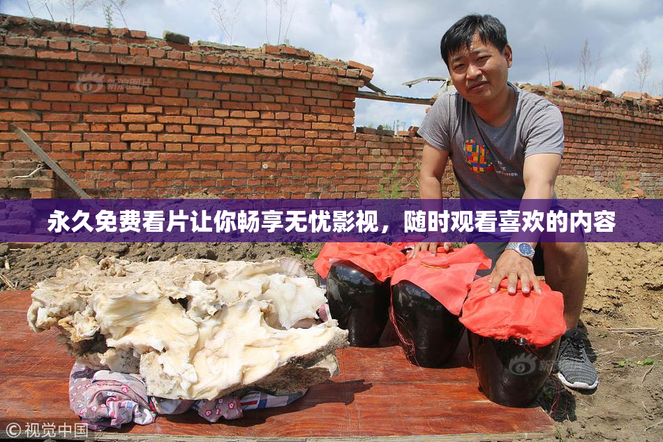 永久免费看片让你畅享无忧影视，随时观看喜欢的内容