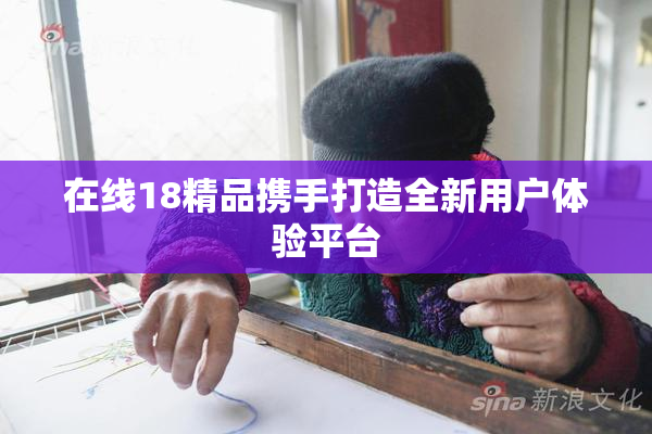 在线18精品携手打造全新用户体验平台