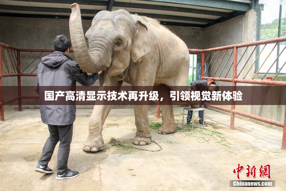国产高清显示技术再升级，引领视觉新体验