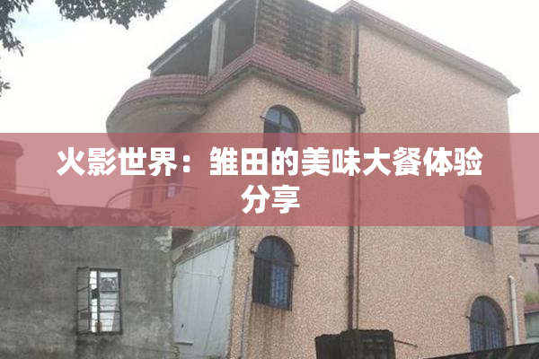 火影世界：雏田的美味大餐体验分享
