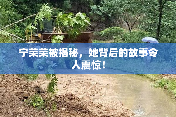 宁荣荣被揭秘，她背后的故事令人震惊！
