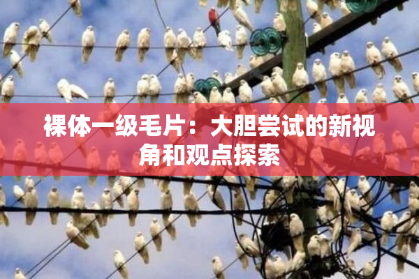 裸体一级毛片：大胆尝试的新视角和观点探索