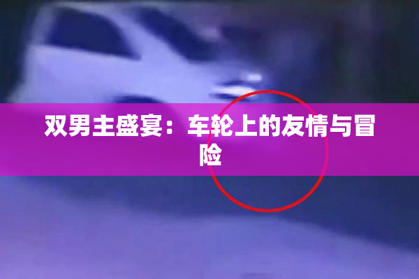 双男主盛宴：车轮上的友情与冒险