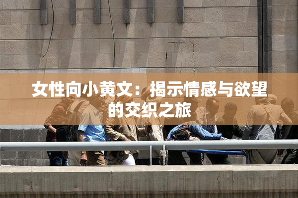 女性向小黄文：揭示情感与欲望的交织之旅