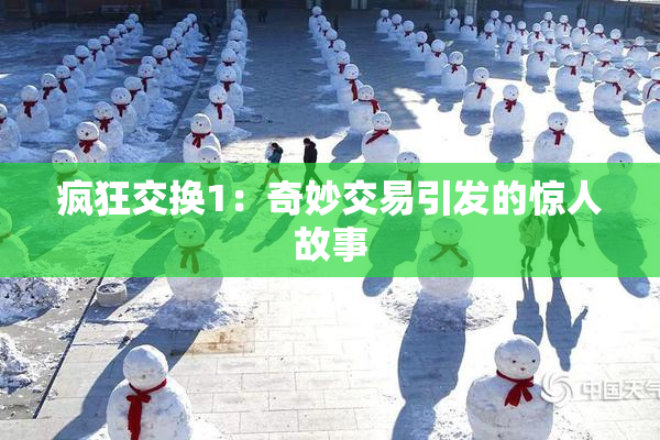 疯狂交换1：奇妙交易引发的惊人故事