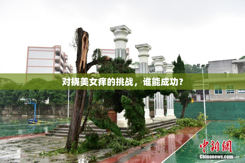 对挠美女痒的挑战，谁能成功？