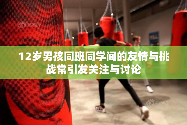 12岁男孩同班同学间的友情与挑战常引发关注与讨论