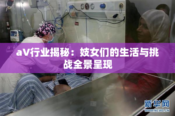 aV行业揭秘：妓女们的生活与挑战全景呈现