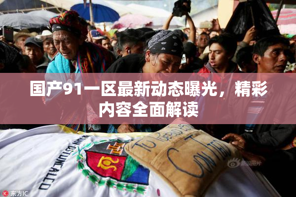 国产91一区最新动态曝光，精彩内容全面解读